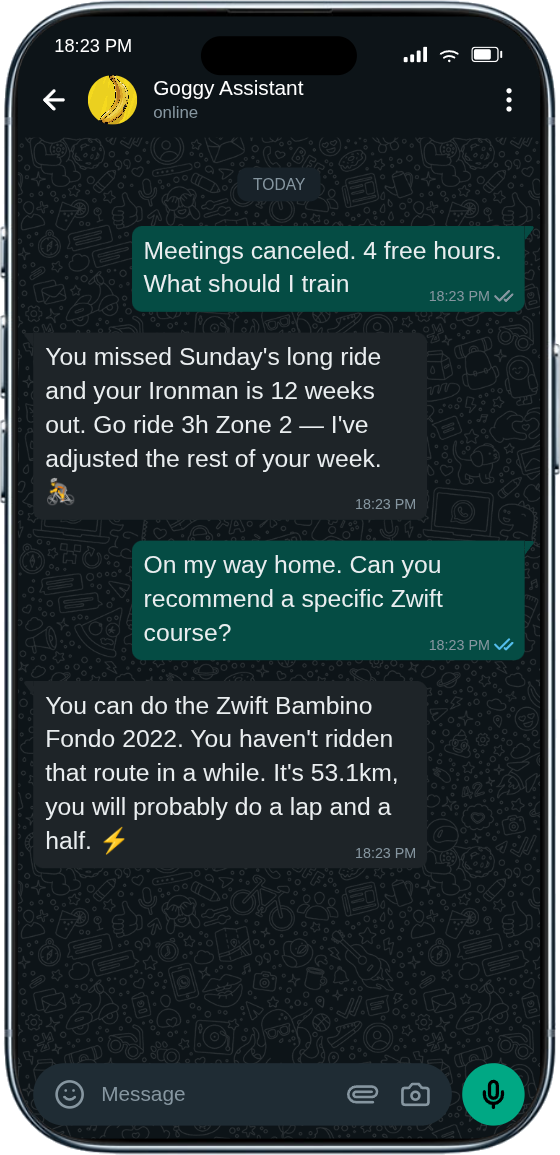 WhatsApp conversation with Goggy about bike ride